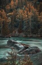 糖心app苹果测试版-科技探索，糖心App苹果测试版揭秘